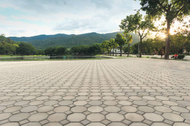 Professional Driveway Pavers in Springfield, MN