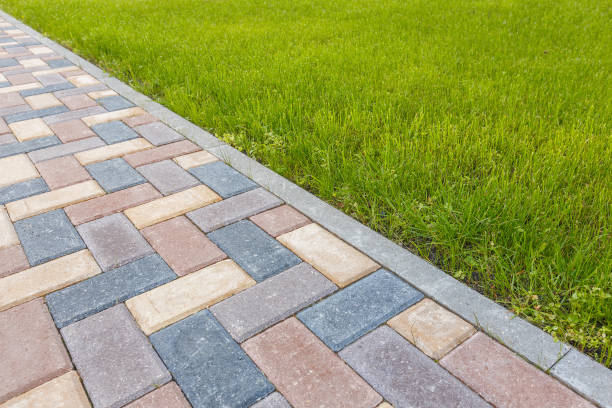 Best Driveway Paving Contractor  in Springfield, MN